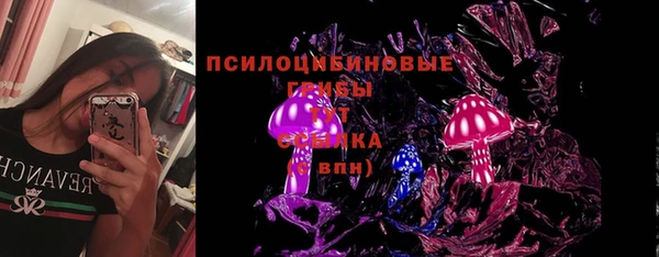 сатива Болотное