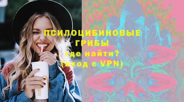 МДПВ Медногорск