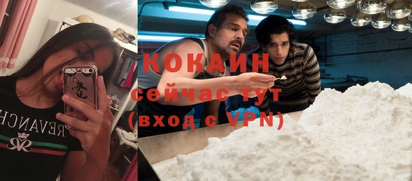дурь Мегион