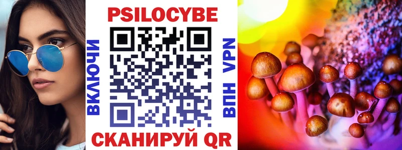 Купить  Красноармейск  Галлюциногенные грибы Psilocybine cubensis 